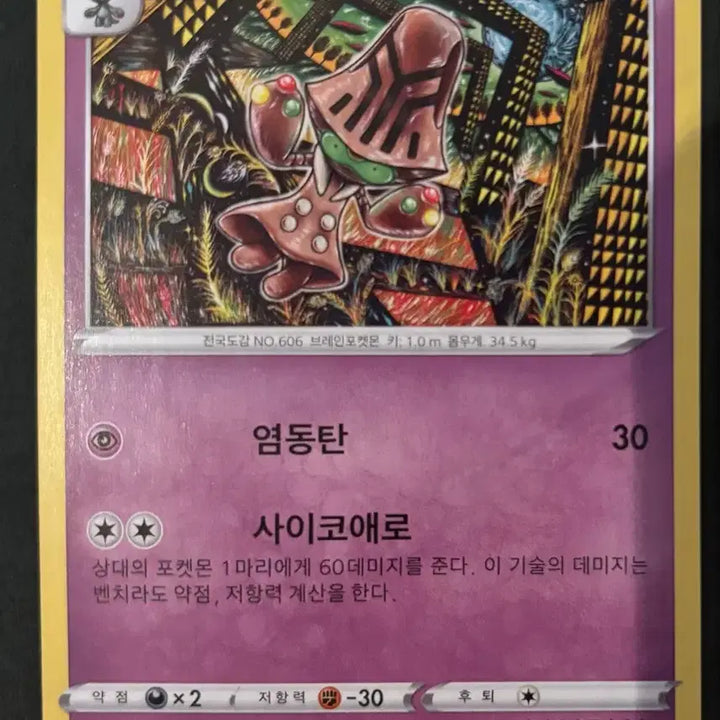 [BUNJANG] Pokemon Card Shinjikanda Illustration Set / 포켓몬카드 - 신지칸다 일러 3장 (1)