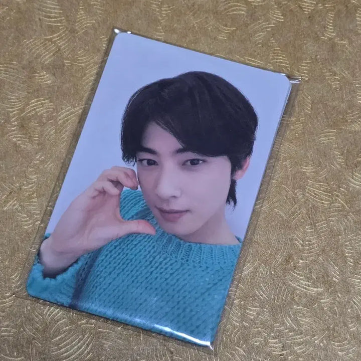[BUNJANG] Cha Eun Woo Dashing Photocard Bundle Set / 차은우 다슈 포토카드