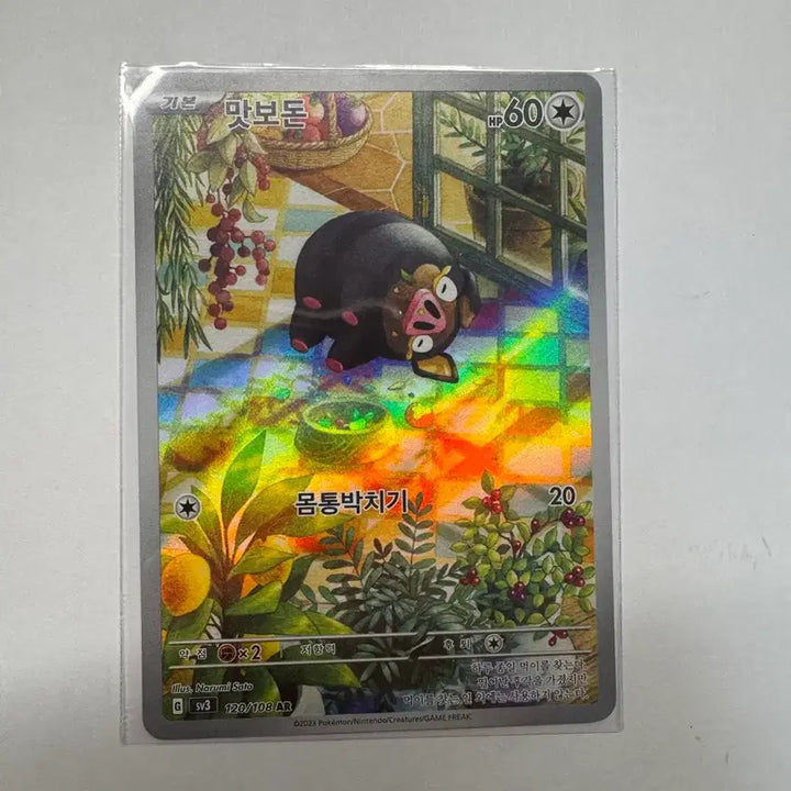 [BUNJANG] Matbodon Full Color Rare Card / 맛보돈ar