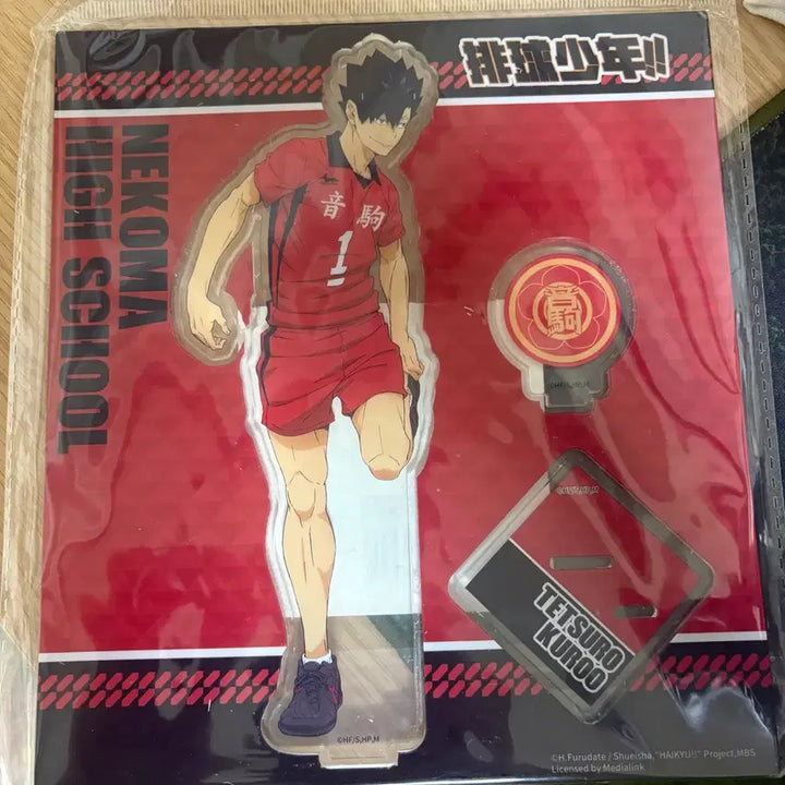 [BUNJANG] Haikyuu!! Tetsuro Kuroo Acrylic Standee / 하이큐 쿠로오 테츠로 아크릴 스탠드