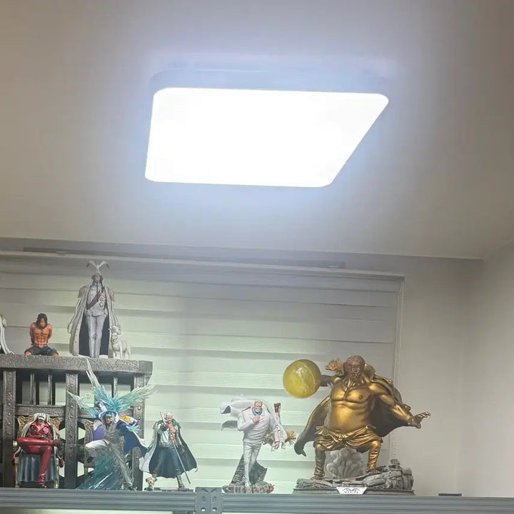 [BUNJANG] Sengoku Resin Statue / 원피스레진