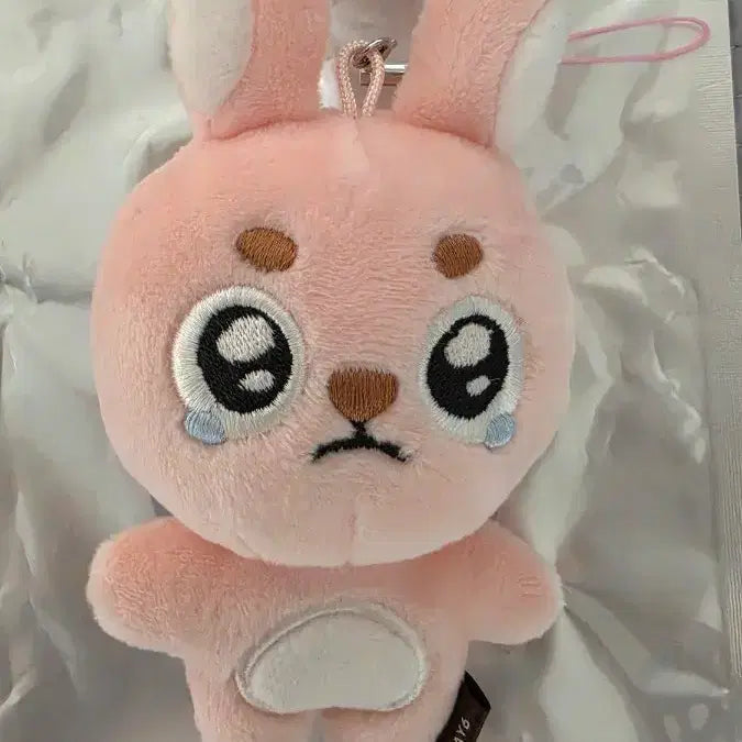 [BUNJANG] DAY6 Unfiltered Ppoengpil Unsealed Photocard / 데이식스 언필터드 뿌엥필 단순개봉