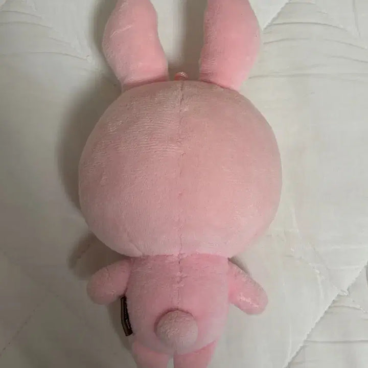 [BUNJANG] DAY6 2020 &