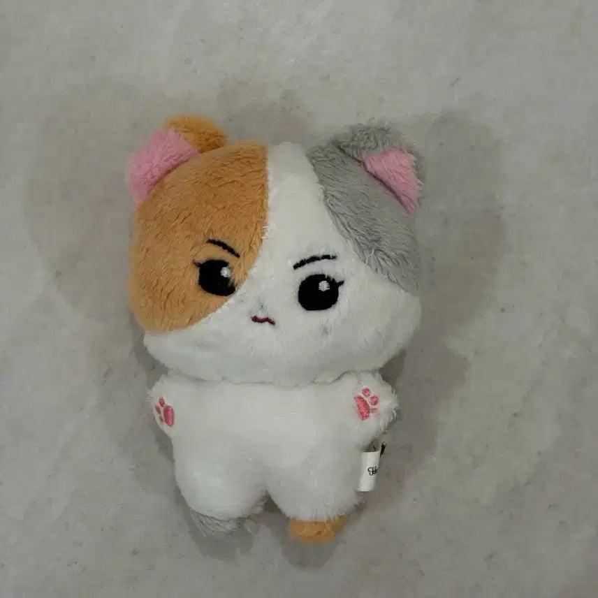 [BUNJANG] Enhypen Jungwon Korea Cat Plush / 급처) 엔하이픈 정원 인형 한국냥