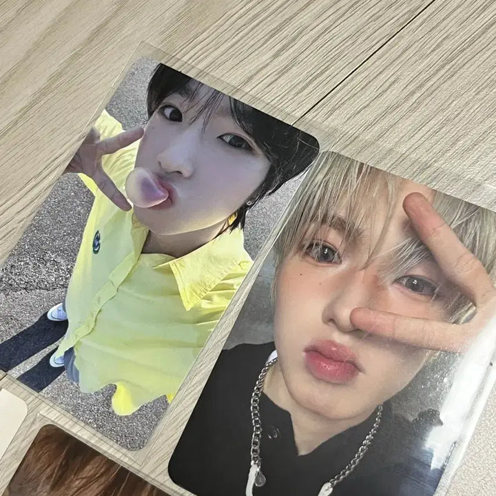 [BUNJANG] Sakura Photocard Bundle Set / 사쿠야 포카 일괄