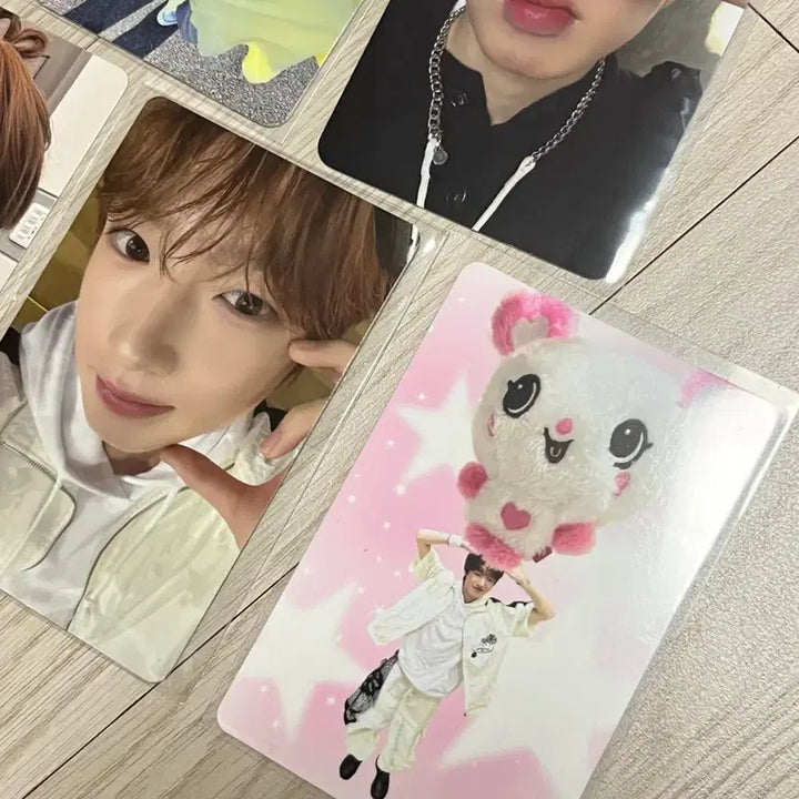 [BUNJANG] Sakura Photocard Bundle Set / 사쿠야 포카 일괄