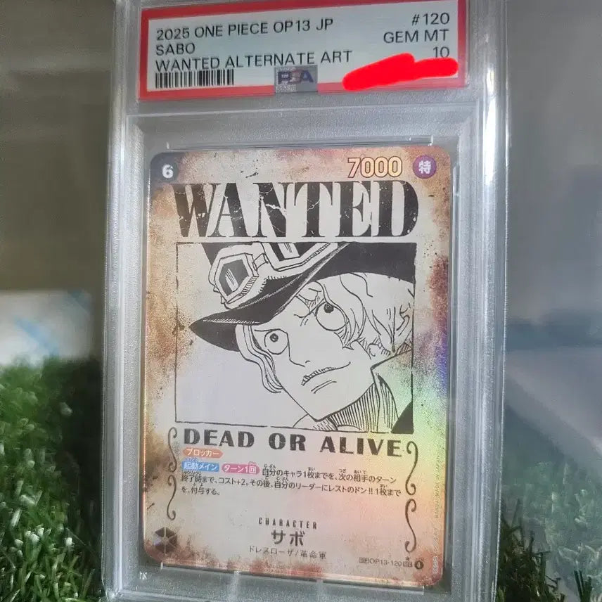 [BUNJANG] One Piece Sabo Wanted Poster Card PSA 10 / 원피스 사보 수배서 카드 psa10