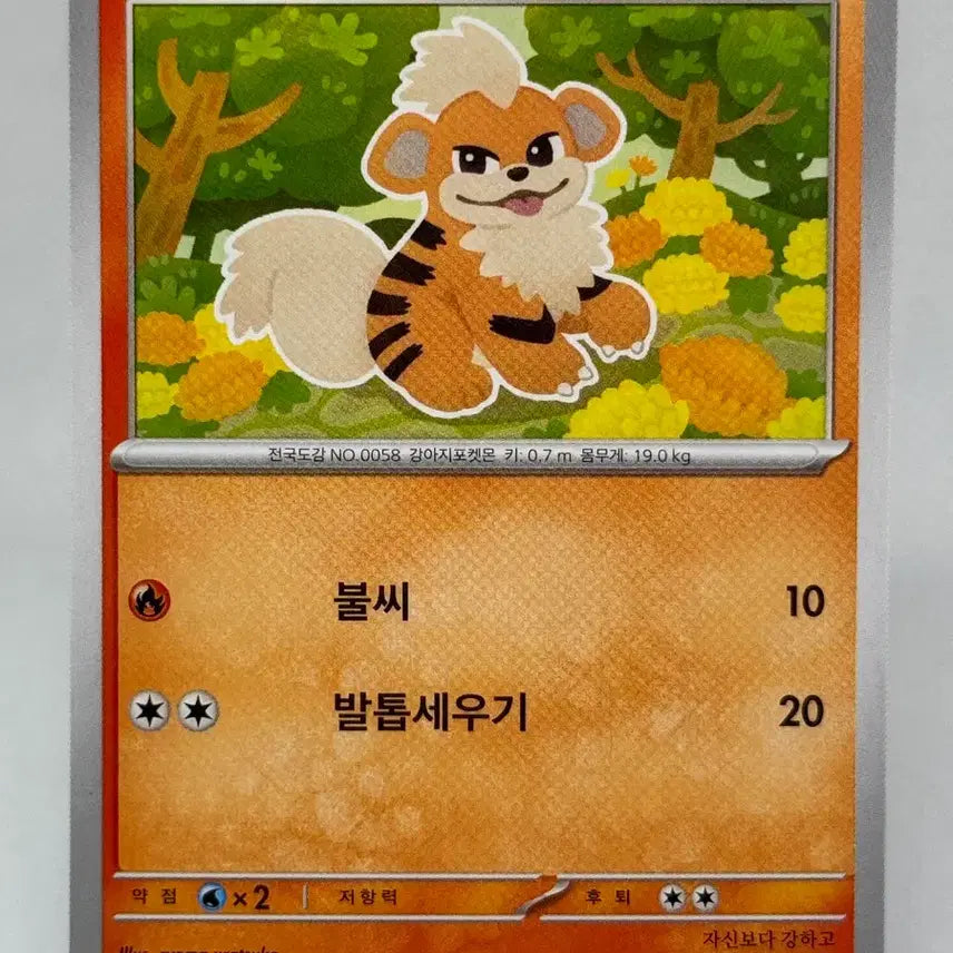 [BUNJANG] Pokemon Card Korean Gardie Common Card [sv10 013/098] / 포켓몬카드 한글판 가디 일반카드 [sv10 013/098]