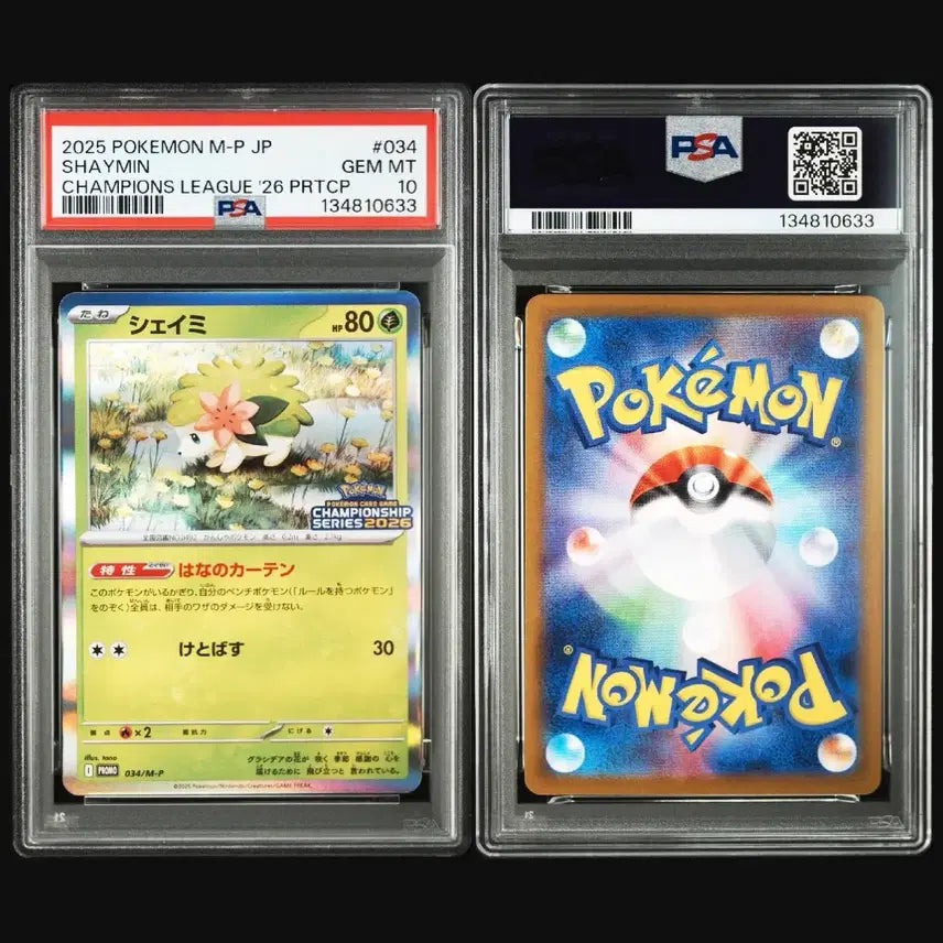 [BUNJANG] Pokemon Card Shaymin Japanese Promo 2025 Champions League PSA 10 / [PSA10] 포켓몬카드 쉐이미 일판 프로모 챔피언스리그2026