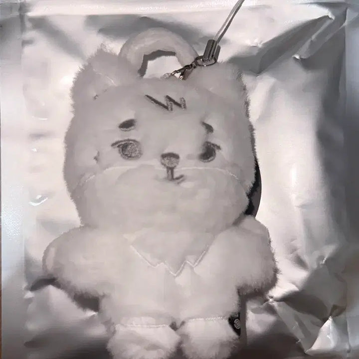 [BUNJANG] DAY6 Young K Petit Merz Secret Keyring / 데이식스 영케이 시크릿 키링 쁘띠멀즈 케 / 영케이 솔콘 youngk