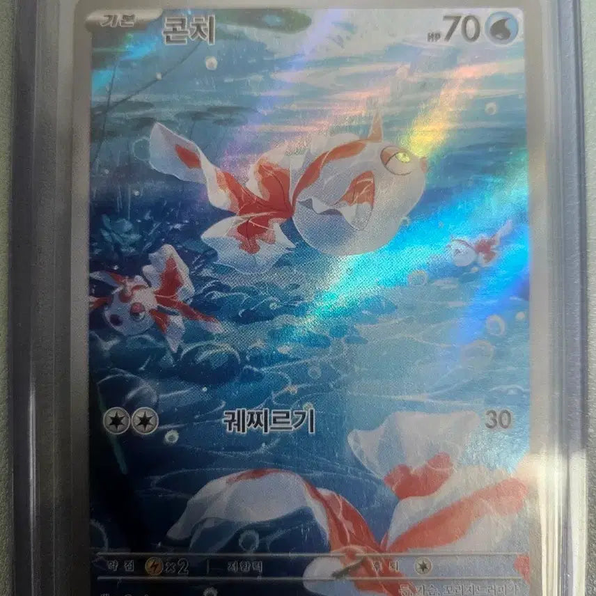 [BUNJANG] Pokemon AR Card / 포켓몬스터 콘치AR