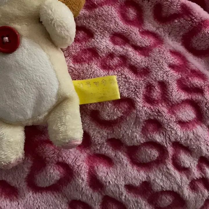 [BUNJANG] Rilakkuma Corilakkuma Plush Doll Wearing Rilakkuma Hat / 리락쿠마 탈 쓴 코리락쿠마 인형 판매