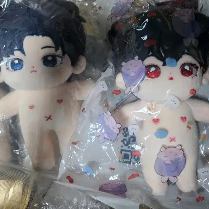 [BUNJANG] Re-drawing Time (Dageusi) Ain Siran Custom Doll 20cm / 다시그리는시간 다그시 아인 시란 속성 인형 20깅 양도