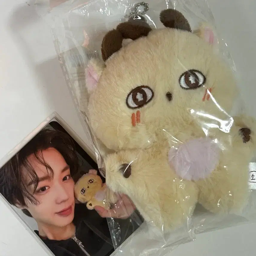 [BUNJANG] Park Jihoon Sosimi Doll Photocard Set / 박지훈 소심이 인형