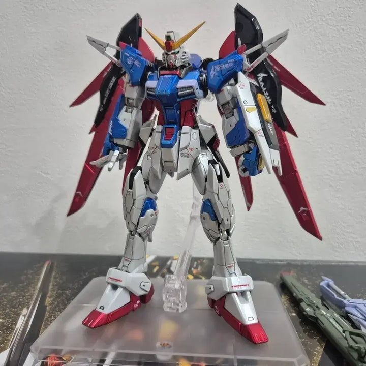 [BUNJANG] RG Destiny Gundam Overcoated Custom Paint Model Kit / RG 데스티니 건담 오버코팅 도색작