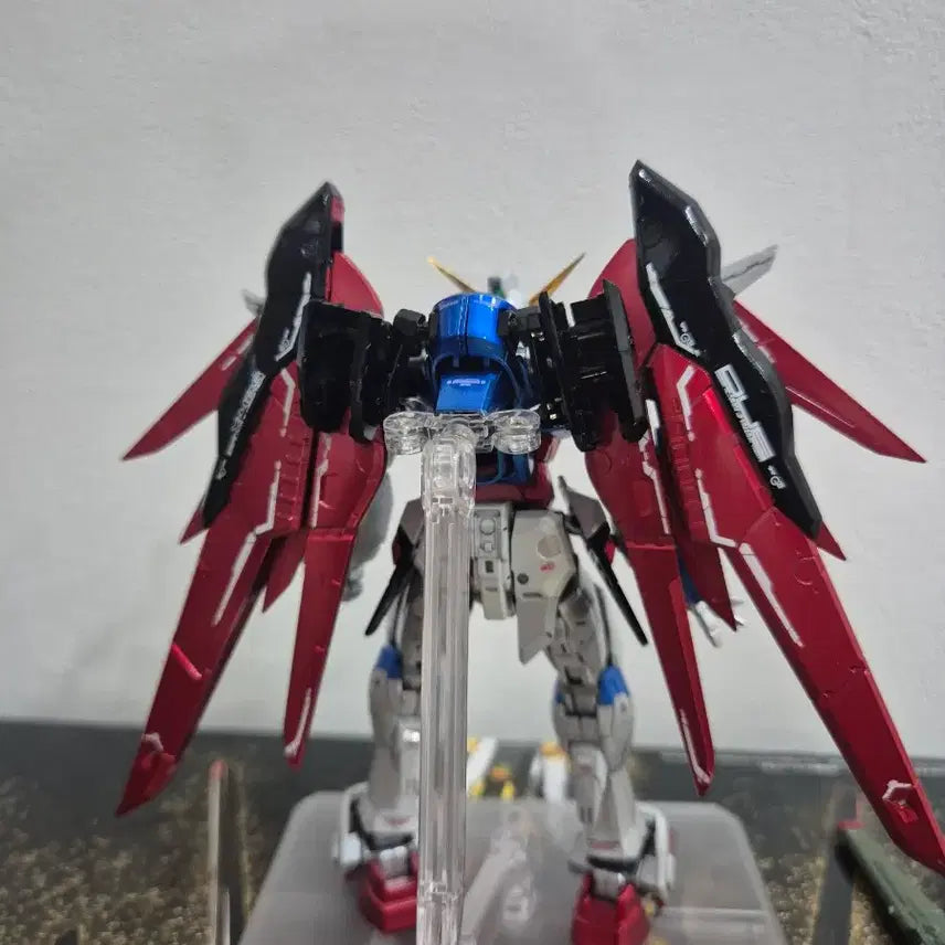 [BUNJANG] RG Destiny Gundam Overcoated Custom Paint Model Kit / RG 데스티니 건담 오버코팅 도색작