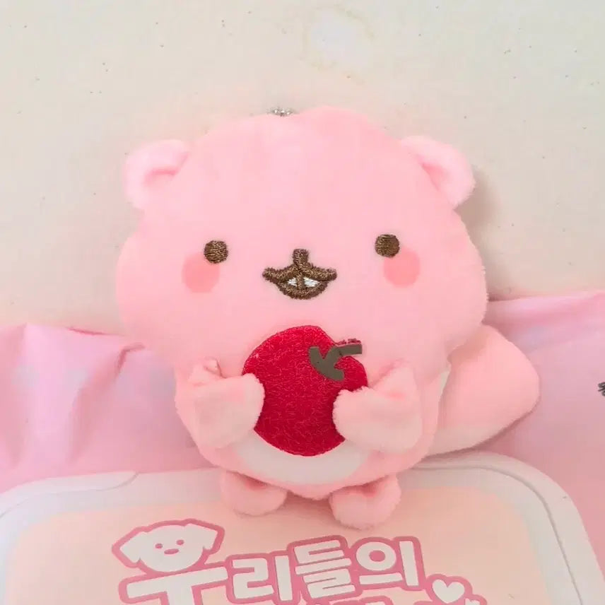 [BUNJANG] Vintage Flattened Squirrel Charm with Cherry/Apple Accessory / 고전 빈티지 핑크 분홍 다람쥐 체리 사과 납작 인형 키링