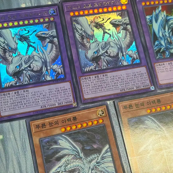 [BUNJANG] Yu-Gi-Oh! Blue-Eyes White Dragon Related Card Set / 유희왕 푸른 눈 관련 카드 세트