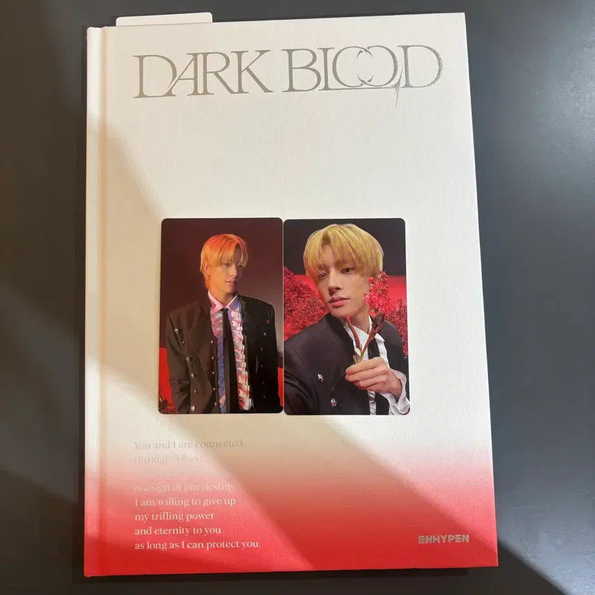 [BUNJANG] ENHYPEN Dark Blood New Ver. Jake Photocard / 엔하이픈 다크 블러드 뉴버전 앨범 제이크 포카 양도