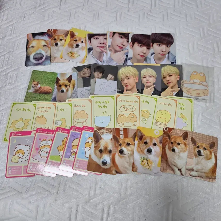 [BUNJANG] Baekhyun "Teragi" Photocard Bundle Set / 백현 터래기 포카 34장 -11