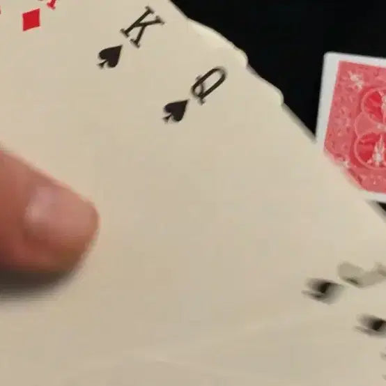 [BUNJANG] Bicycle Index Only Playing Cards (Sealed) / 바이시클 인덱스 온리