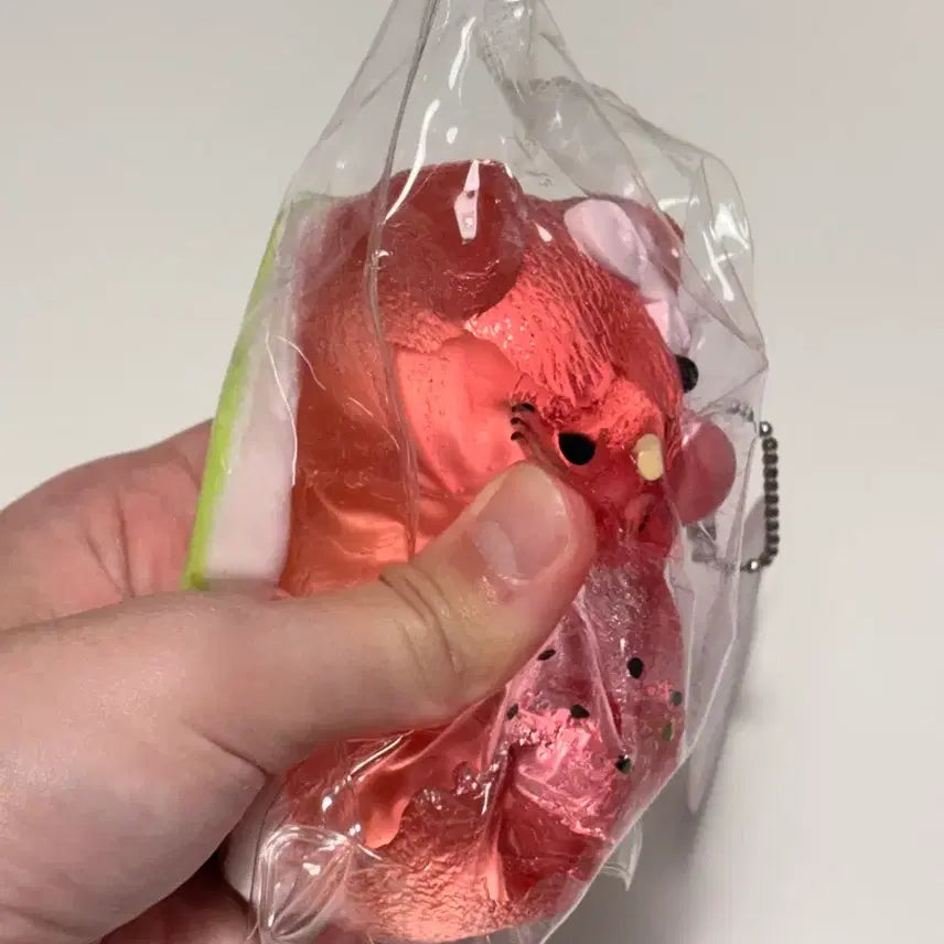[BUNJANG] Sanrio Hello Kitty Watermelon Squishy Toy / (새제품) 산리오 헬로키티 수박 말랑이 스퀴시