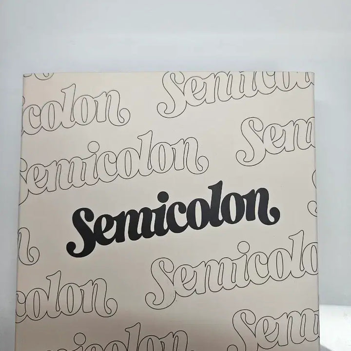 [BUNJANG] Seventeen Special Album / 세븐틴 ;[semicolon] 엘범