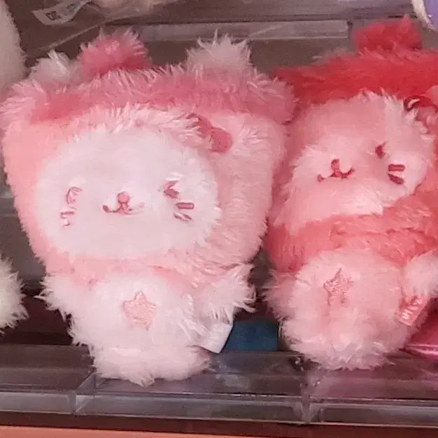 [BUNJANG] NCT WISH Yuu Color Doll Bubble Cat Pink / 엔시티위시 위부부 컬러돌 유우시 버블냥 핑크