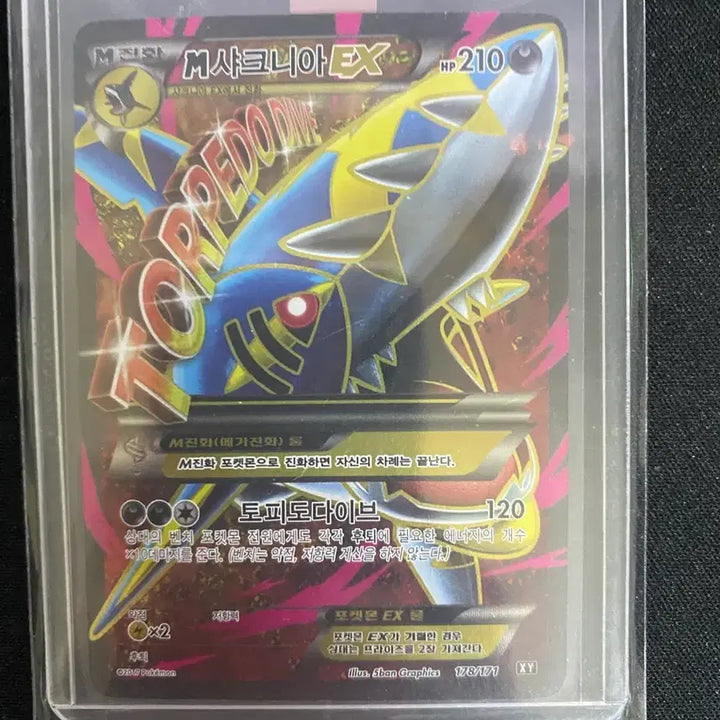 [BUNJANG] Pokemon Card Ancient Card Mega Sharpedo SR / 포켓몬카드 고대카드 메가샤크니아sr