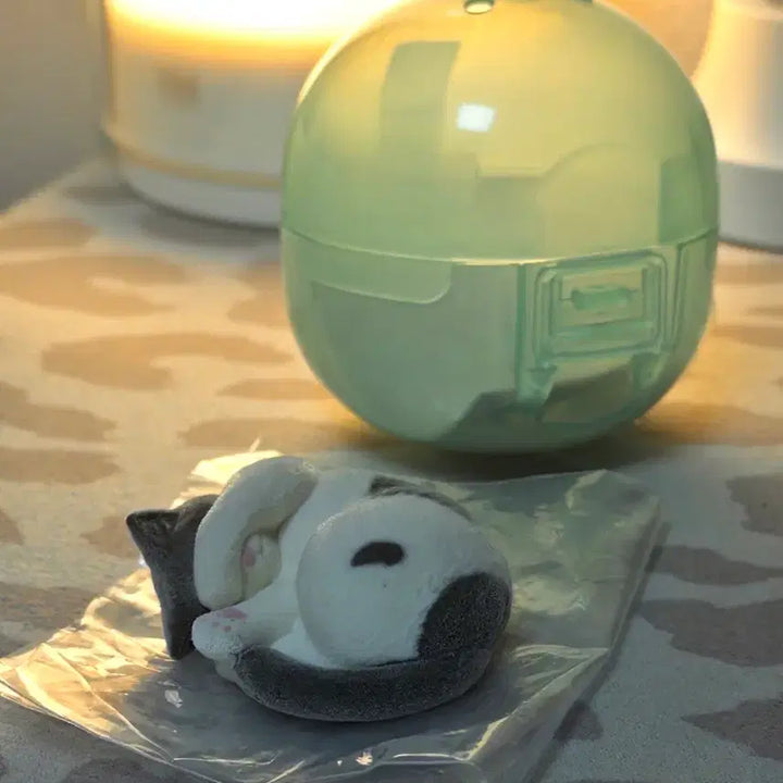 [BUNJANG] Cat Face Covering Gacha Accessory / 얼굴가리는 고양이 가챠 소품