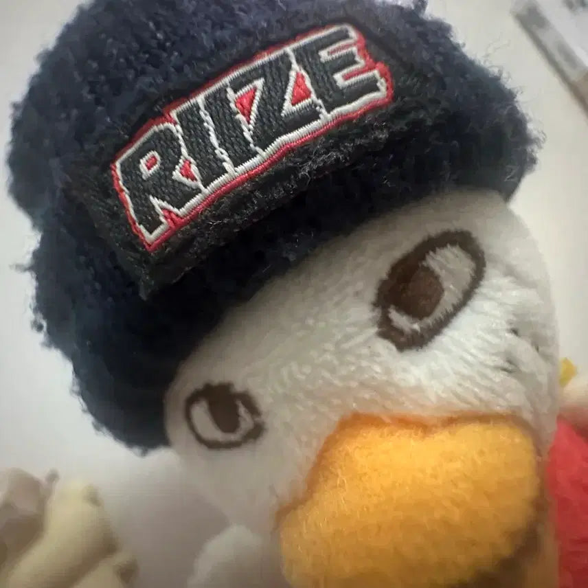 [BUNJANG] RIIZE Official Hat / 라이즈 공식 똘병이 모자