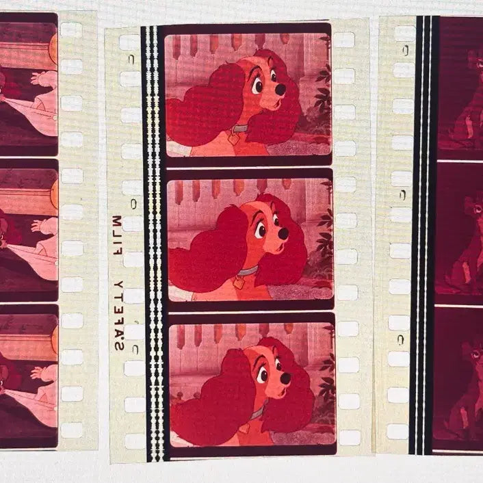 [BUNJANG] Disney Lady and the Tramp Film Cell 6 Sheets / 레이디 앤 트램프 필름컷 6매 / 영화 필름 / 디즈니