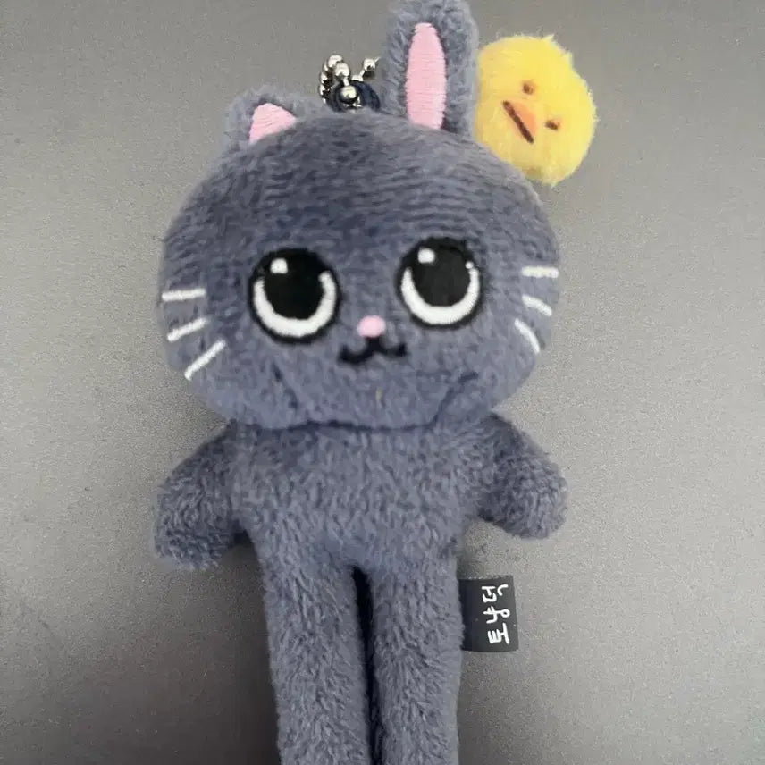 [BUNJANG] RIIZE Wonbin Long Legs Doll / 라이즈 롱다리 토냥덕 원빈 인형