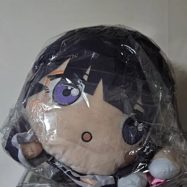 [BUNJANG] My Dress-Up Darling Neso Nesoberi "Shirogane" &amp; "Kitagawa" Jumbo Plush Set / 비스크돌 메가 점보 네소베리 시즈쿠, 마린 2개 일괄