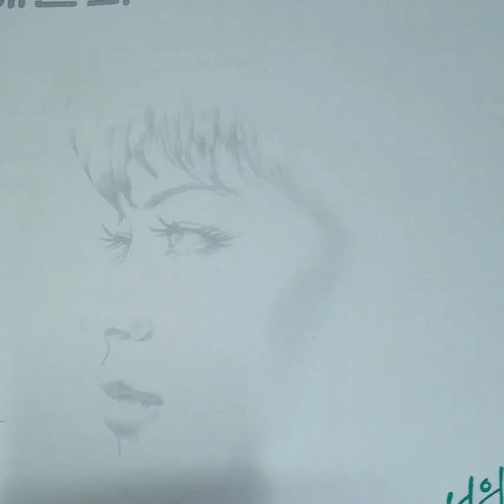 [BUNJANG] Bae Jinhee LP Record / 배진희 엘피판