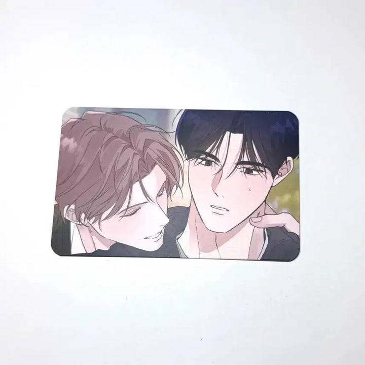 [BUNJANG] Le Bon Lebom Special Photocard / 살롱드르봉 대만 레봄 밤은 부드러워라 밤부 특전 포토카드 lebom