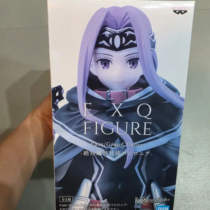 [BUNJANG] EXQ Ana Figure (Box Damage) / 박스 상태 안좋은 피규어 EXQ 아나
