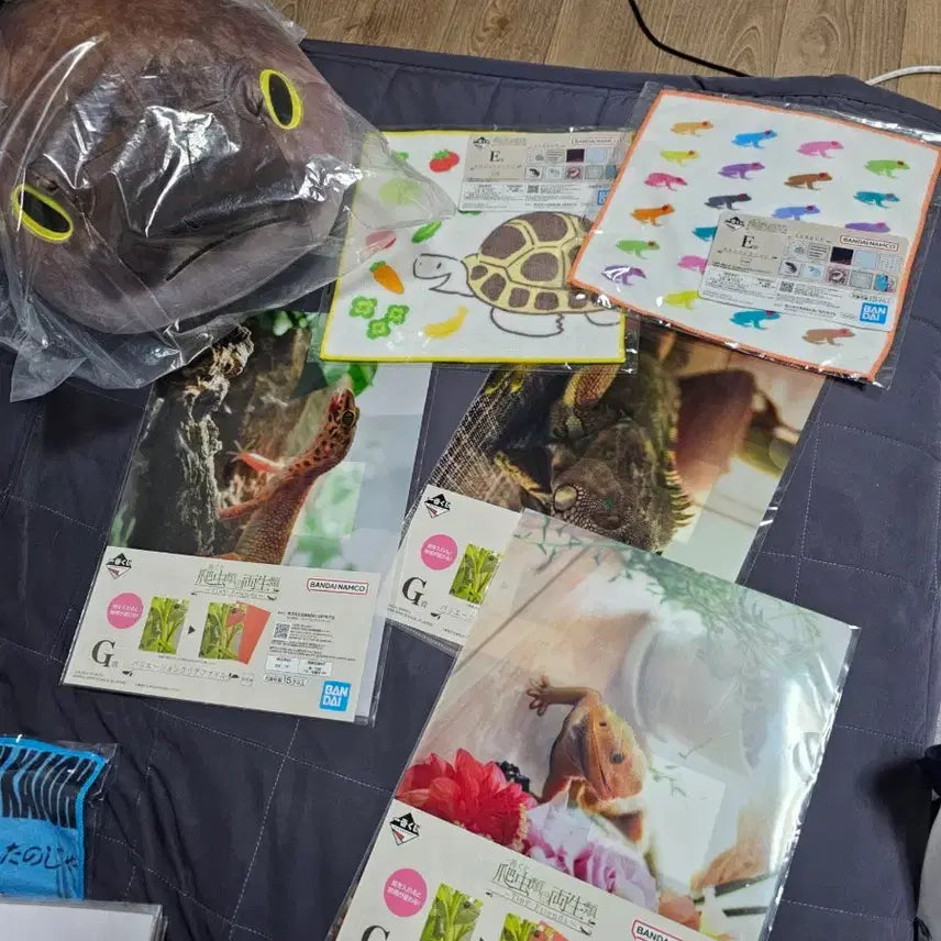 [BUNJANG] Tiny Friends Plush Cushion &amp; Clear File Bundle / 파충류 1탄(제일복권, 이치방쿠지)C상 플러시 쿠 션, G상 일괄