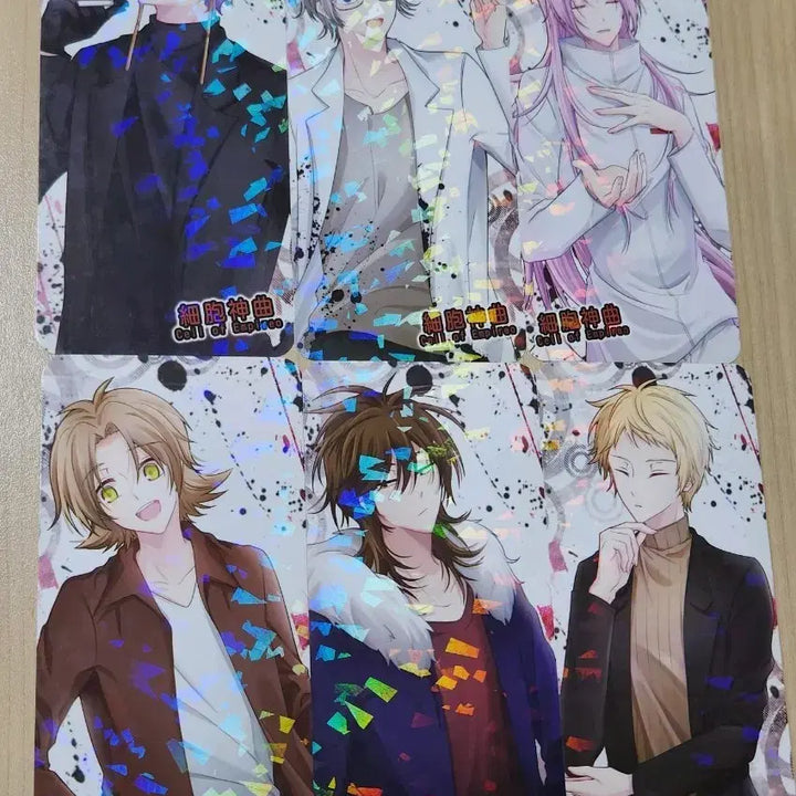 [BUNJANG] Cellu-Novel Hologram Photocard Bundle Set / (6장)세포신곡 비공굿 홀로그램 포카 판매