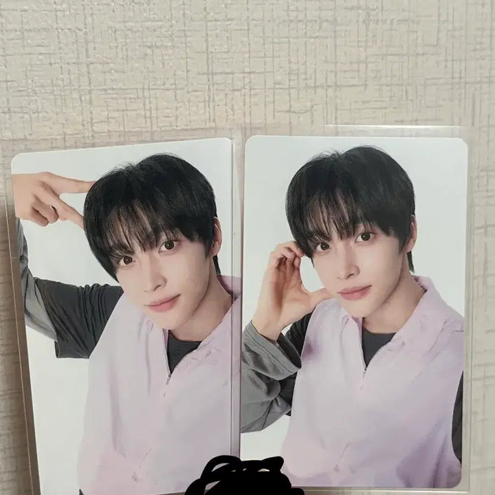 [BUNJANG] RIIZE Wonbin Japan Fanmeeting Trading Card Bundle Set / 라이즈 원빈 일본 팬미팅 트레카 일괄