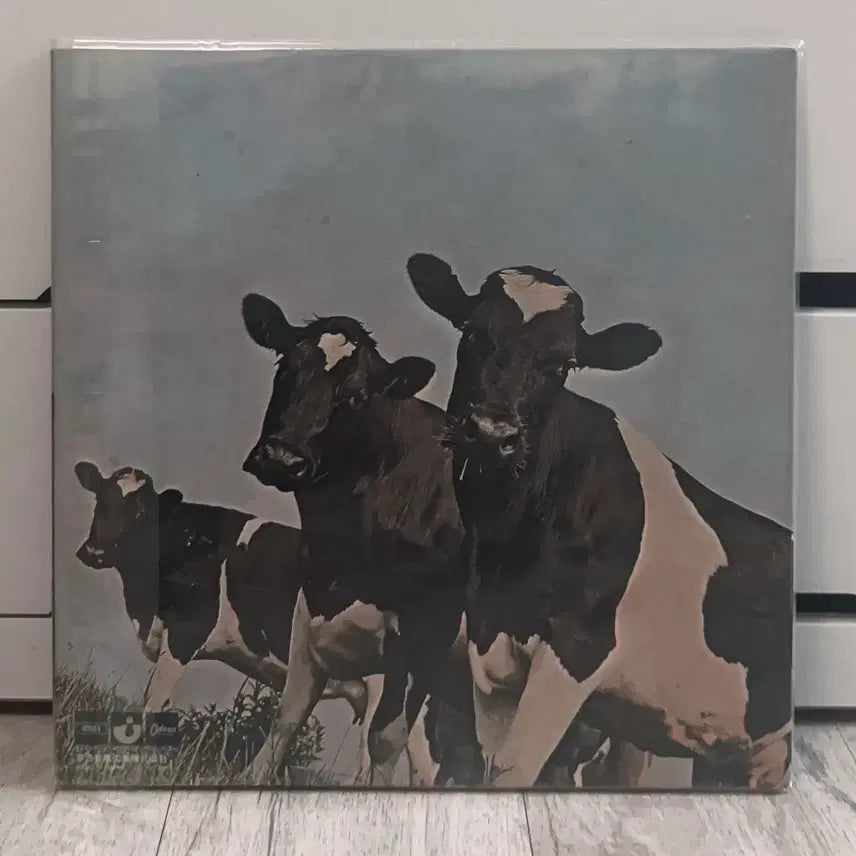 [BUNJANG] Pink Floyd Atom Heart Mother Japanese Press LP (OP-80102) / Pink Floyd