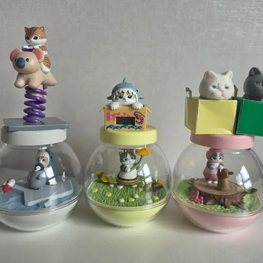 [BUNJANG] Mop Sands Angry Cat Gacha Collection / 고양이 가챠 모음 (모프샌드 화난고양이)