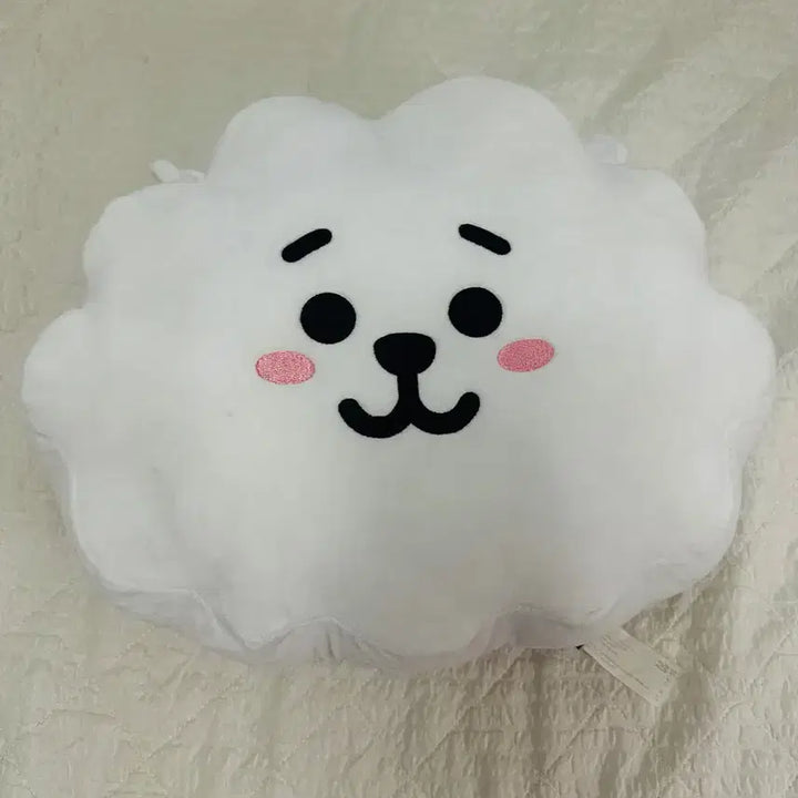 [BUNJANG] BTS BT21 RJ Face Plush (30cm) / 방탄소년단 BTS BT21 RJ 얼굴인형 (30cm)