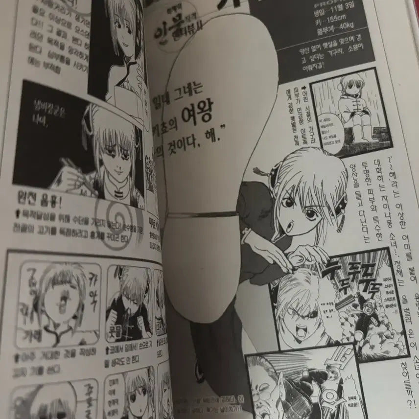 [BUNJANG] Gintama Character Book Set / 은혼 캐릭터북 2권 일괄 판매
