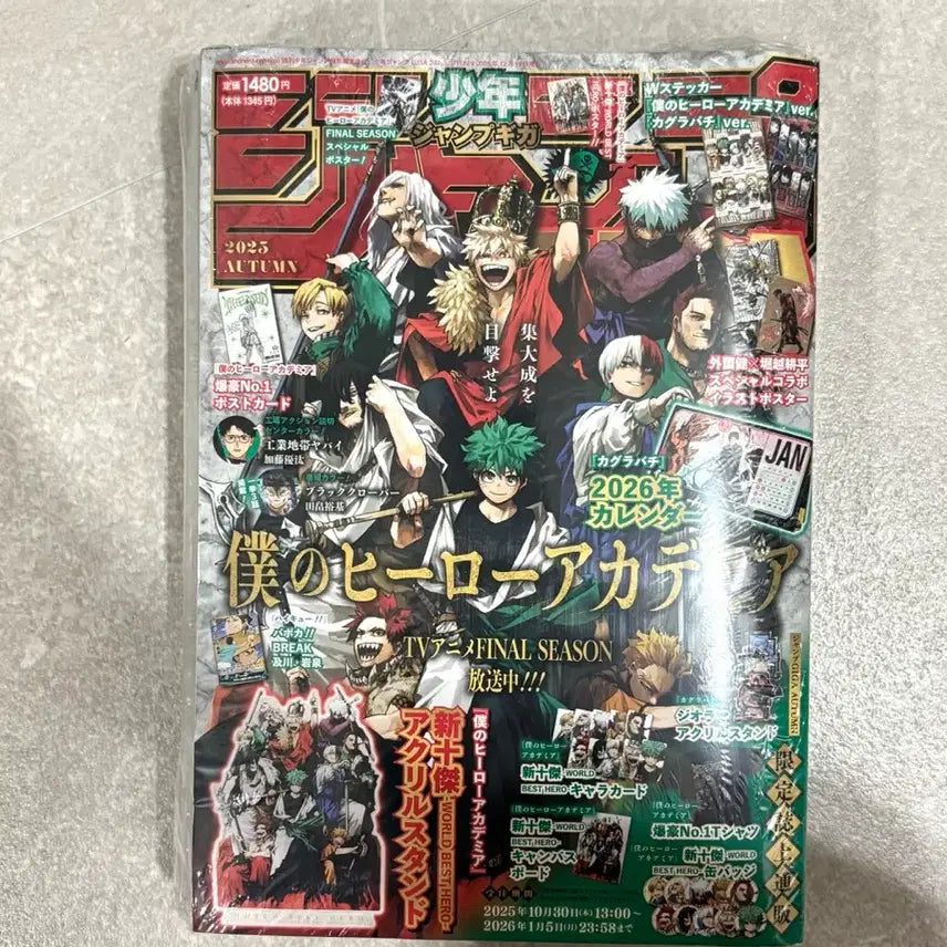 [BUNJANG] My Hero Academia Jump GIGA Autumn (Sealed) / (미개봉) 나의 히어로 아카데미아 나히아 히로아카 점프 기가 어텀
