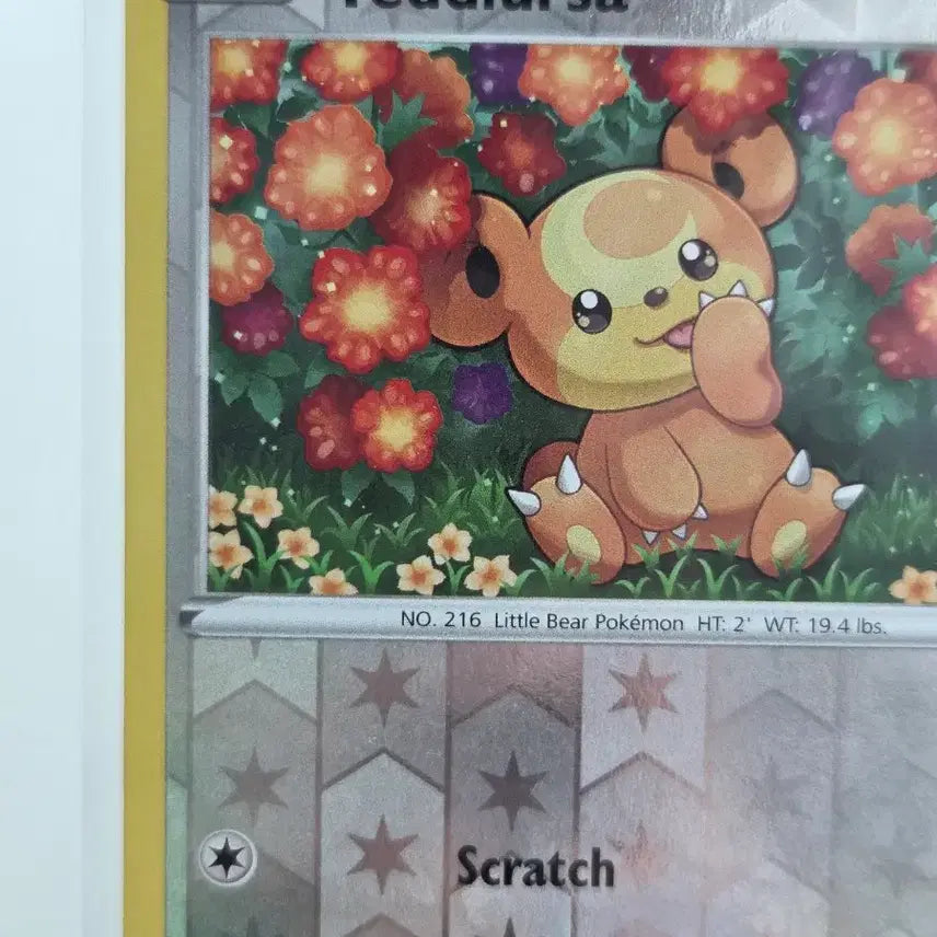 [BUNJANG] Pokemon Card Teddiursa Reverse Holo Evolving Skies / [영판/북미판] 포켓몬 카드 깜지곰 (Teddiursa) 리버스 홀로 / 진화하는 하늘 (Evolving Skies)