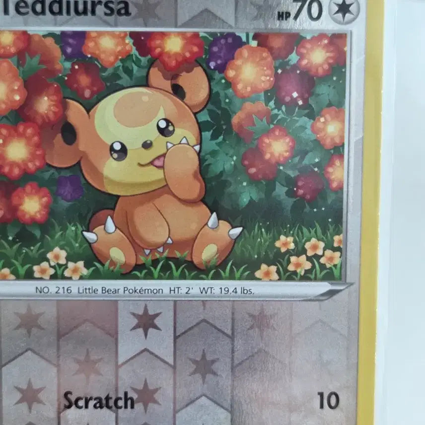 [BUNJANG] Pokemon Card Teddiursa Reverse Holo Evolving Skies / [영판/북미판] 포켓몬 카드 깜지곰 (Teddiursa) 리버스 홀로 / 진화하는 하늘 (Evolving Skies)