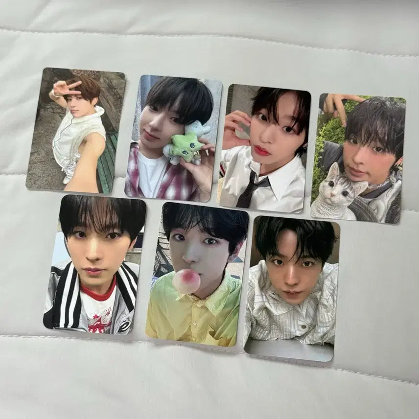[BUNJANG] NCT WISH Sion Riku Yushi Sakuya Bundle Set Photocard / 엔시티 위시 포카 시온 리쿠 유우시 사쿠야 일괄 양도