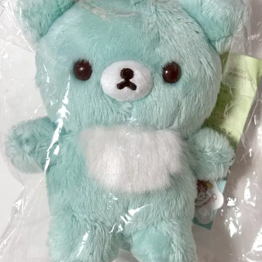 [BUNJANG] Chairoycoguma 10th Anniversary 5 Colors Mint Corgi Plush / (바로배송)민트코구마 차이로이코구마 10주년 5colors 인형
