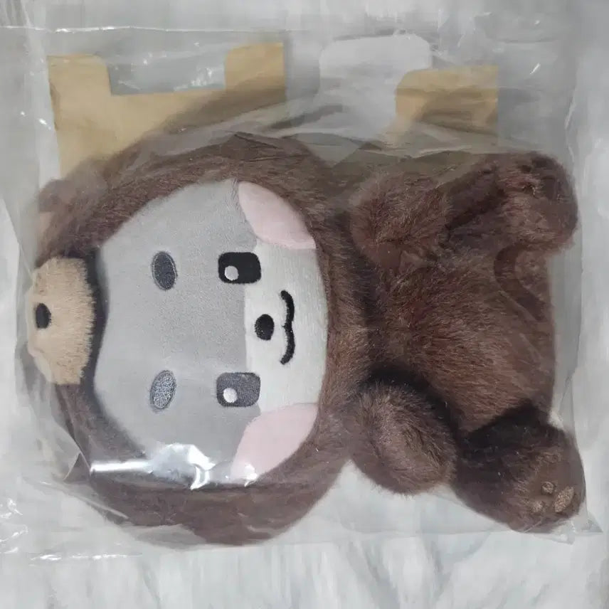 [BUNJANG] ZEROBASEONE Park Gunwook Medium Gunini Teddy Bear / 제로베이스원 박건욱 중형 거니니 곰니니